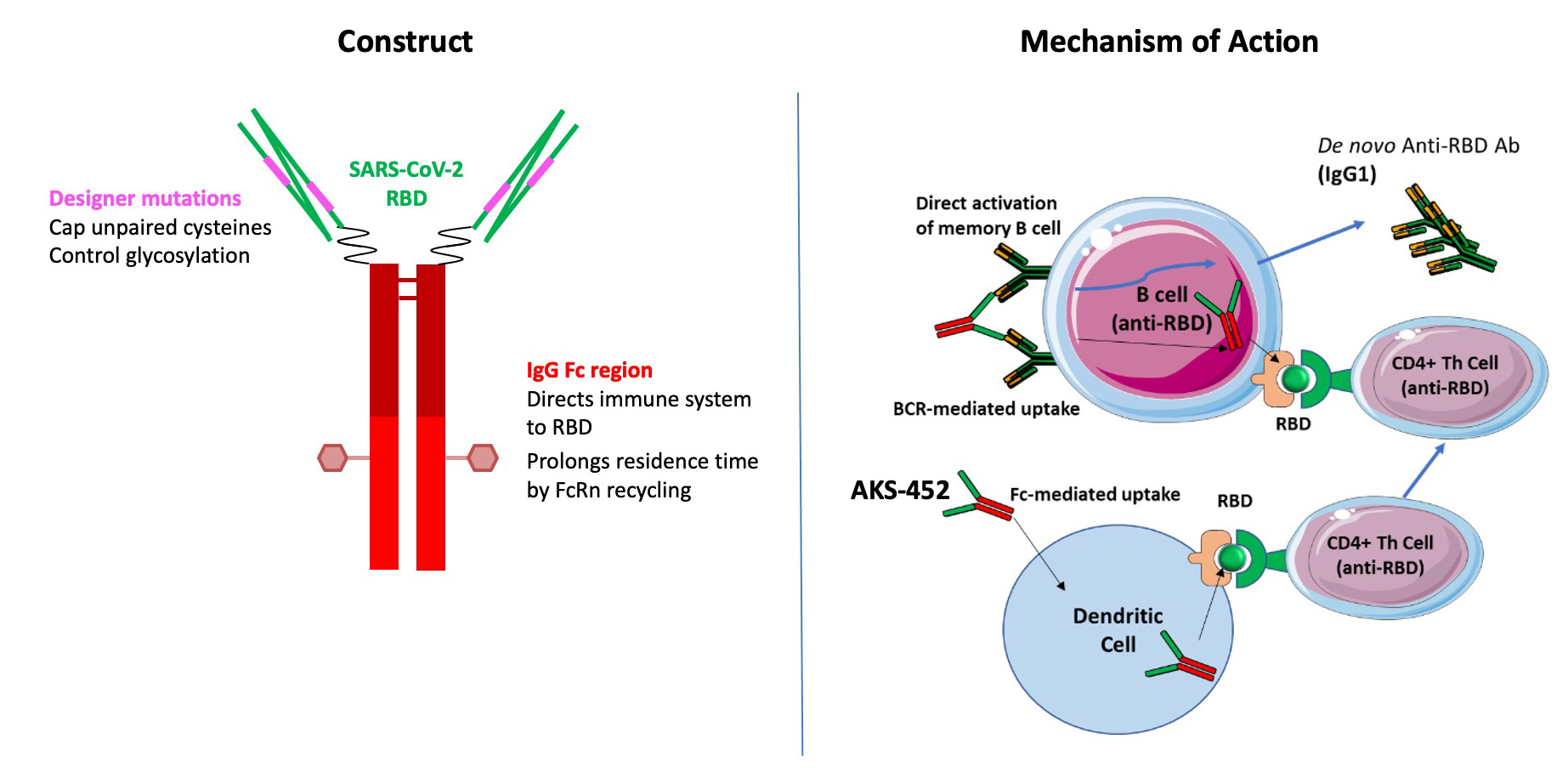 Akston Biosciences | COVID-19 Vaccine